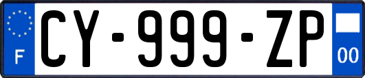 CY-999-ZP