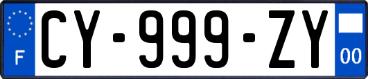 CY-999-ZY