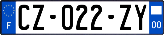 CZ-022-ZY