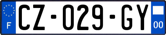 CZ-029-GY