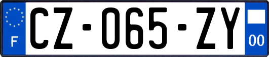 CZ-065-ZY