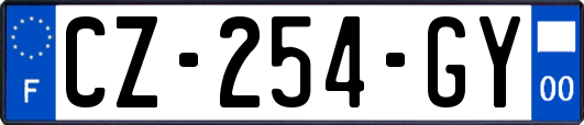CZ-254-GY