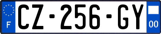 CZ-256-GY