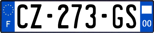 CZ-273-GS
