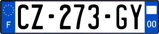 CZ-273-GY