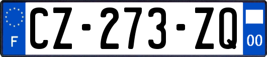 CZ-273-ZQ