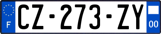 CZ-273-ZY