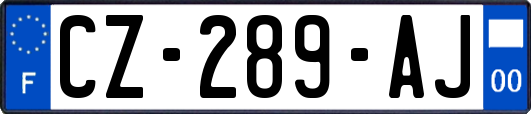 CZ-289-AJ