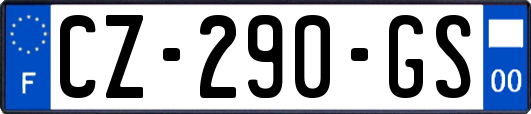 CZ-290-GS