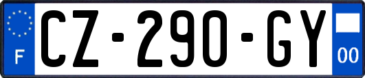 CZ-290-GY