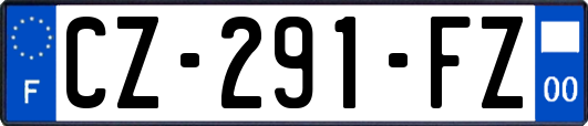 CZ-291-FZ