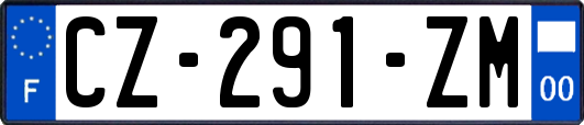 CZ-291-ZM