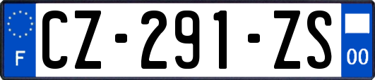 CZ-291-ZS