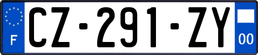 CZ-291-ZY