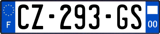 CZ-293-GS