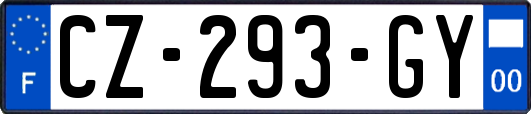 CZ-293-GY