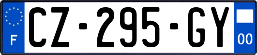 CZ-295-GY