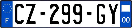 CZ-299-GY