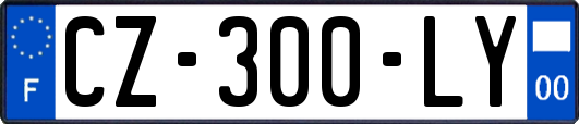 CZ-300-LY