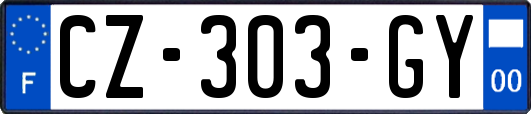 CZ-303-GY