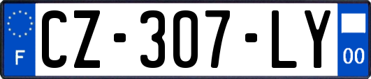 CZ-307-LY