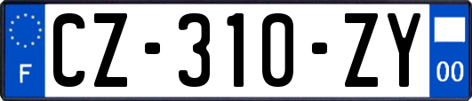 CZ-310-ZY