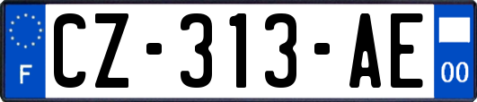 CZ-313-AE