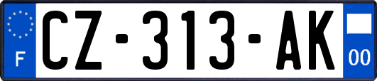 CZ-313-AK