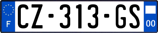 CZ-313-GS
