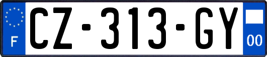 CZ-313-GY