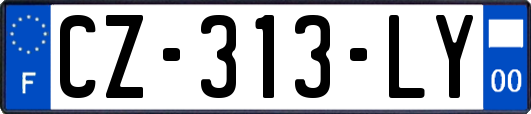CZ-313-LY