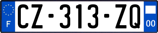 CZ-313-ZQ