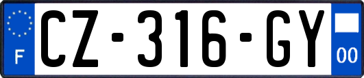 CZ-316-GY