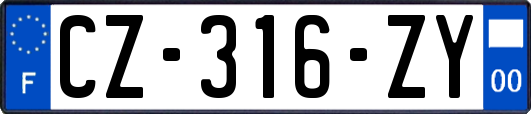 CZ-316-ZY