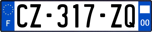 CZ-317-ZQ