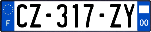 CZ-317-ZY