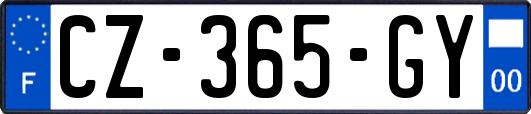 CZ-365-GY