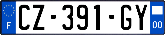 CZ-391-GY
