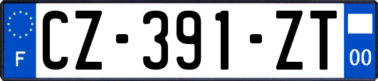 CZ-391-ZT