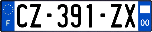 CZ-391-ZX