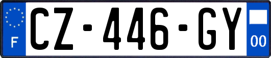 CZ-446-GY