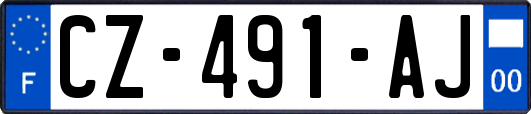 CZ-491-AJ