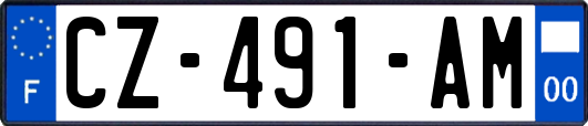 CZ-491-AM