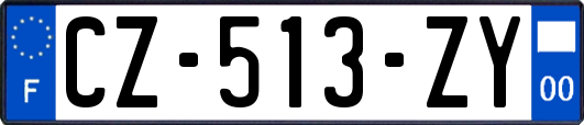CZ-513-ZY