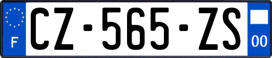 CZ-565-ZS