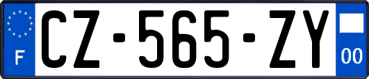 CZ-565-ZY