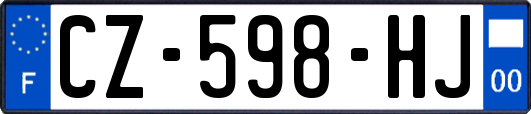 CZ-598-HJ