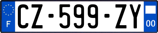 CZ-599-ZY