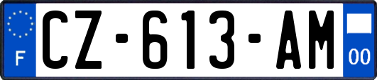 CZ-613-AM