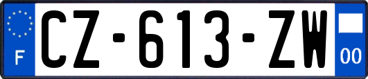 CZ-613-ZW